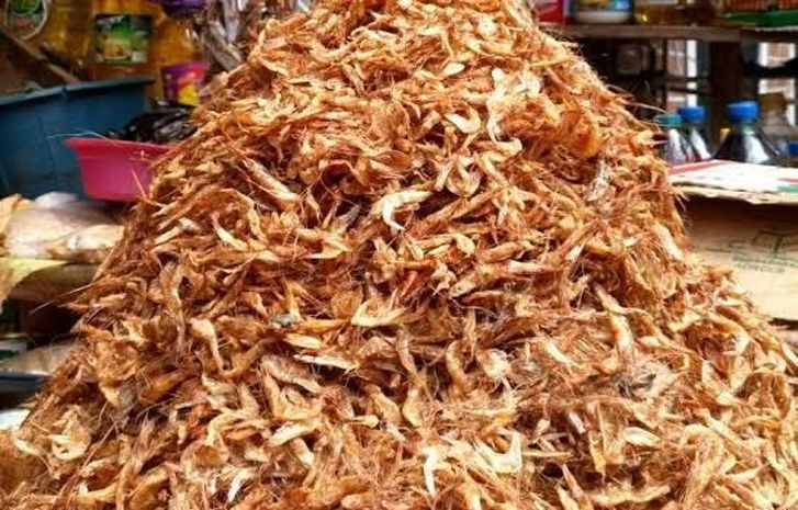 how to start a crayfish business in nigeria premier online updates, latest tech trends