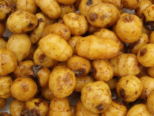 tiger nuts milk, kunun aya or horchata de chufas